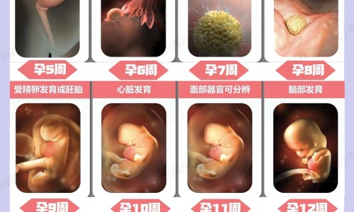 白血病人腿无力网 | 白血病人腿无力的原因,白血病腿无力一般寿命