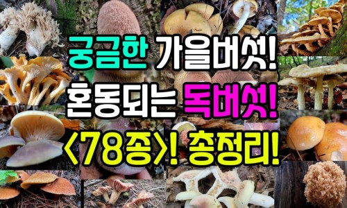 白血病腿软无力-白血病人腿无力网 | 白血病人腿无力的原因,白血病腿无力一般寿命